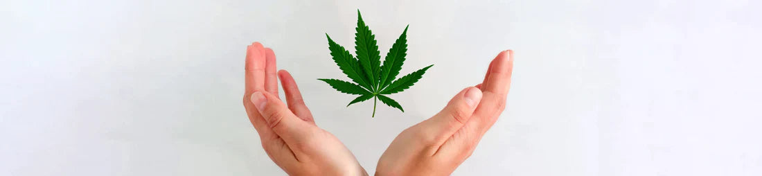 Top 5 mitos del cannabidiol
