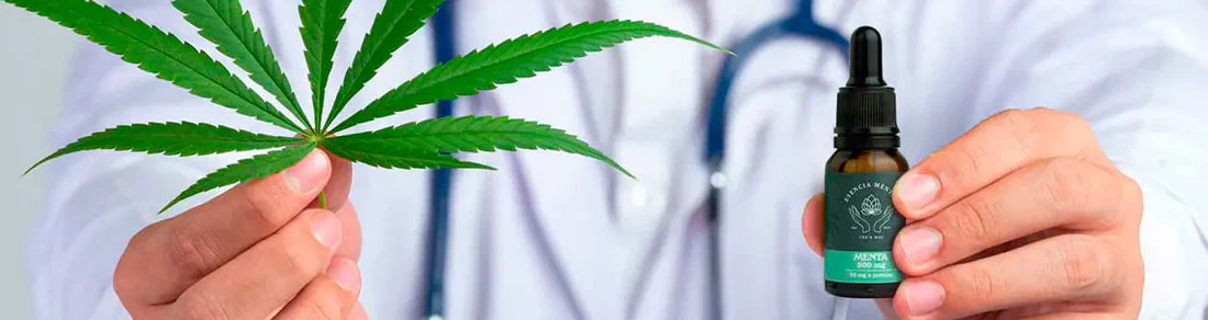 Efecto neuroprotector del CBD: ¿es la mejor alternativa para enfermedades neurodegenerativas?