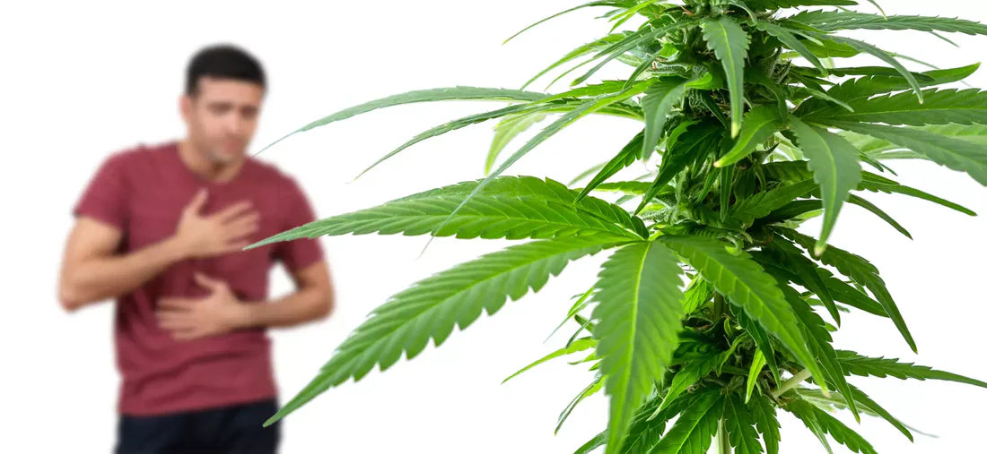 CBD-y-ataques-de-panico-
