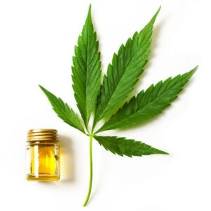 ¿Por qué duermo, pero no descanso? Cannabis e hipersomnia