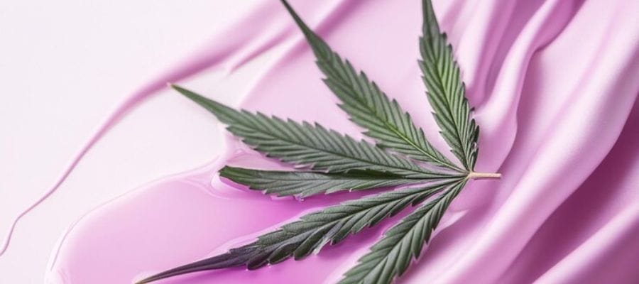 CBD y lupus: una esperanza para el alivio de los síntomas
