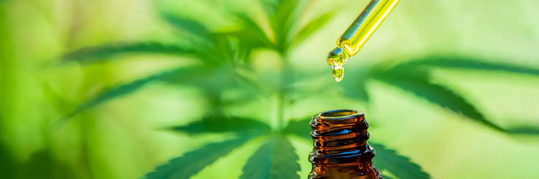 Famosos que consumen CBD
