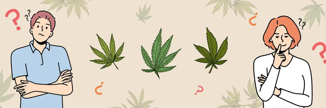 CBD, cáñamo y marihuana: ¿son lo mismo?