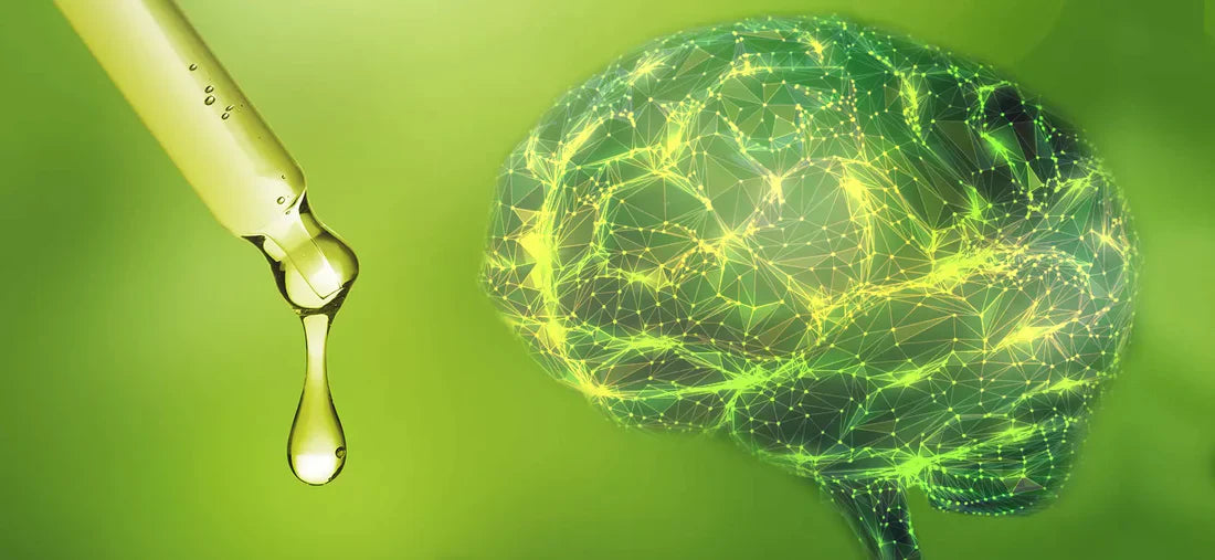 Los efectos del cannabidiol en el cerebro y el sistema nervioso