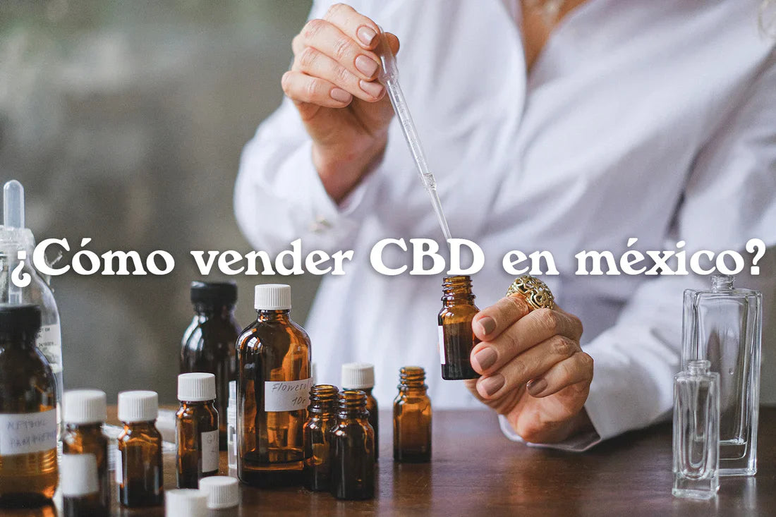 ¿Cómo vender CBD en México?