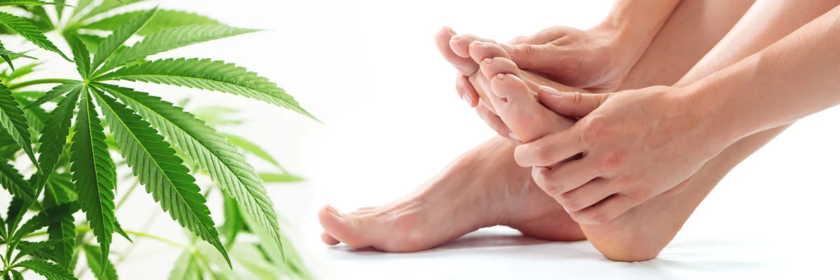 stias-de-la-fascitis-plantar-con-cbd