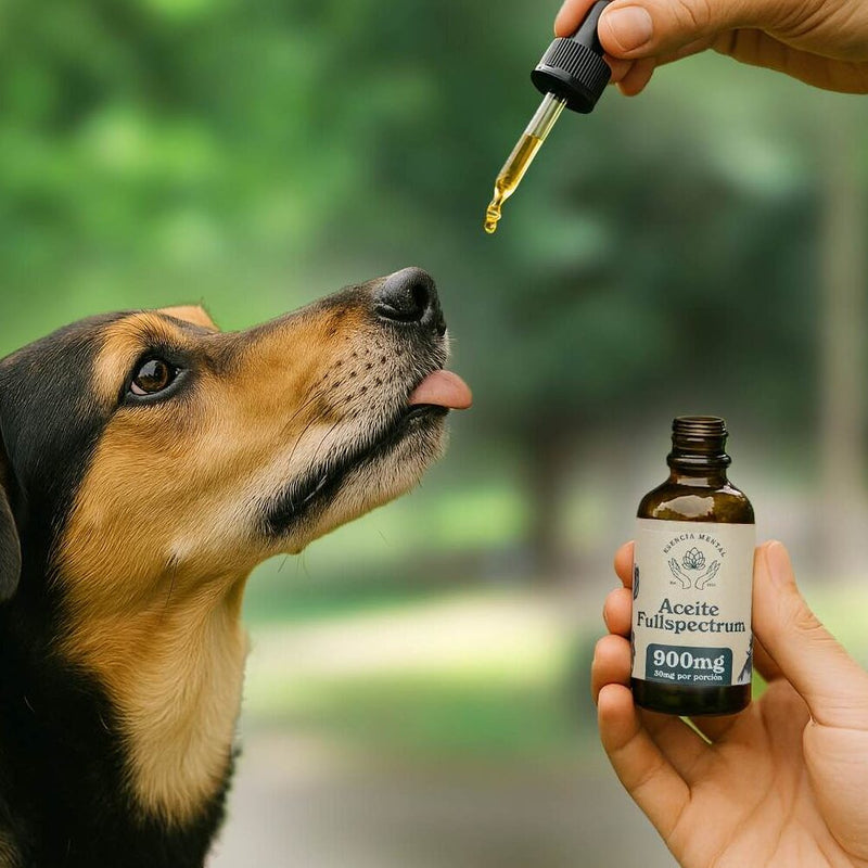 Cannabidol para mascotas