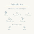 Gomitas "Energía mental" 90 pzas.