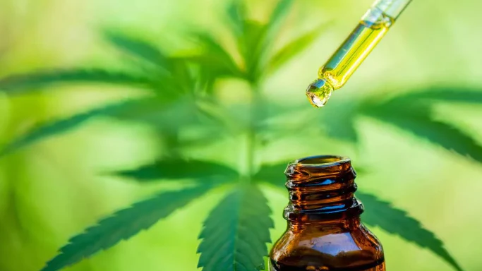 CBD para trastornos del sueño