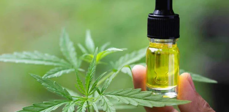 ¿Es legal el uso de CBD en México?