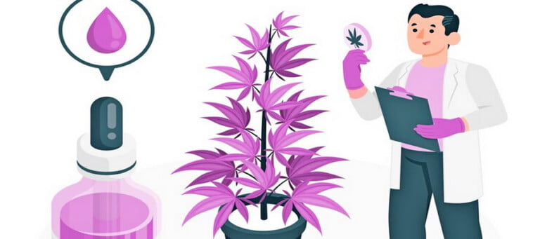 ¿El cbd ayuda a los síntomas del cáncer?