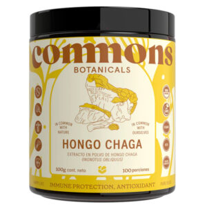 Polvo Hongo Chaga 100g