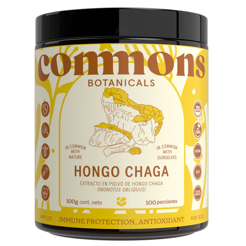 Polvo Hongo Chaga 100g
