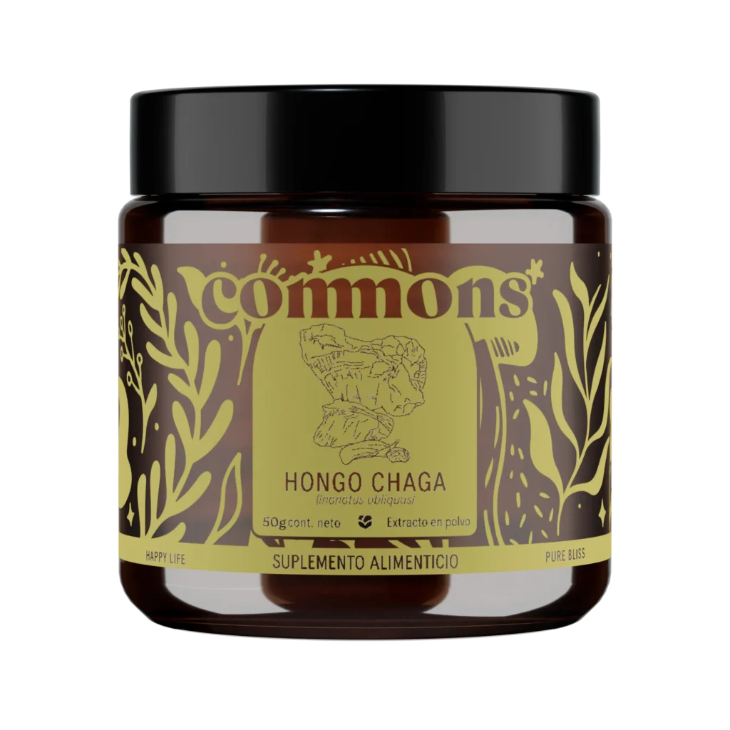 Polvo Hongo Chaga 50g