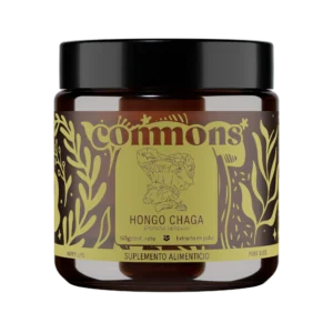Polvo Hongo Chaga 50g