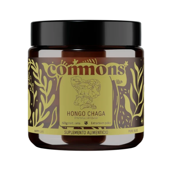 Polvo Hongo Chaga 50g