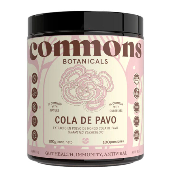 Polvo Hongo Cola de Pavo 100g