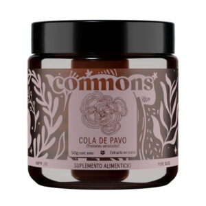 Polvo Hongo Cola de Pavo 50g