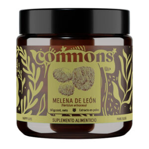 Polvo Hongo Melena de León 50g