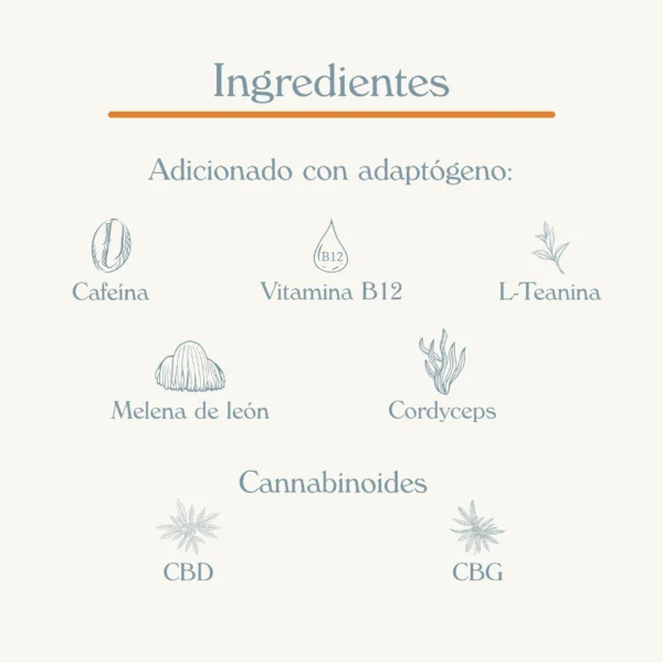 Gomitas "Energía mental" 30 pzas. - Imagen 5