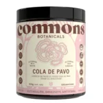 Polvo Hongo Cola de Pavo | Full-size 100g