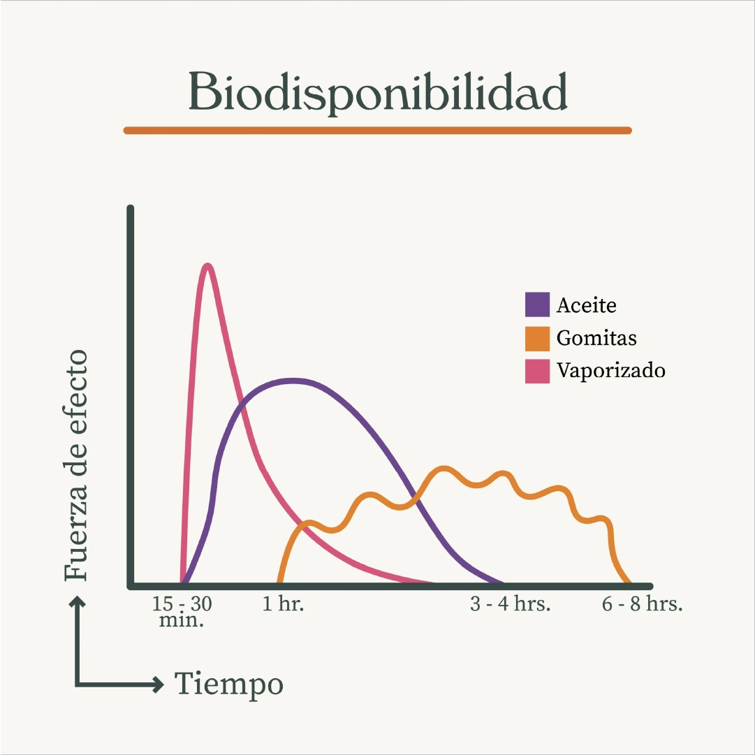 Gotas de CBD 6000mg (30ml) - Imagen 5